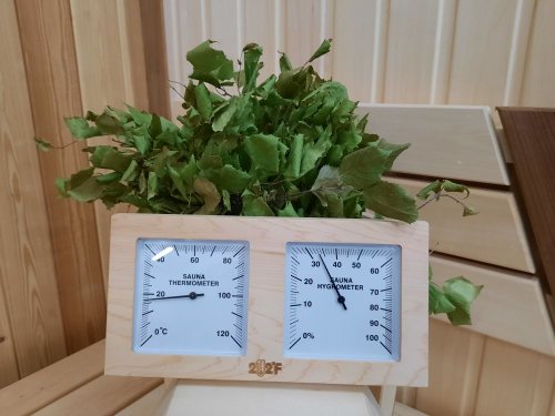 детальное фото термометр с гигрометром банная станция очки квадрат канадский кедр, th-21-r, 212f, банный эксперт в интернет-магазине Дачный Эксперт