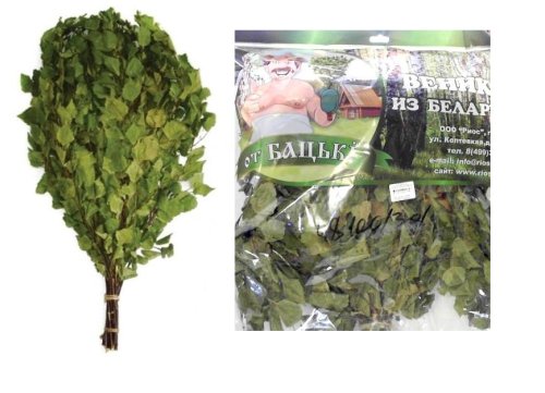 детальное фото веник березовый без оплетки (евро) в интернет-магазине Дачный Эксперт